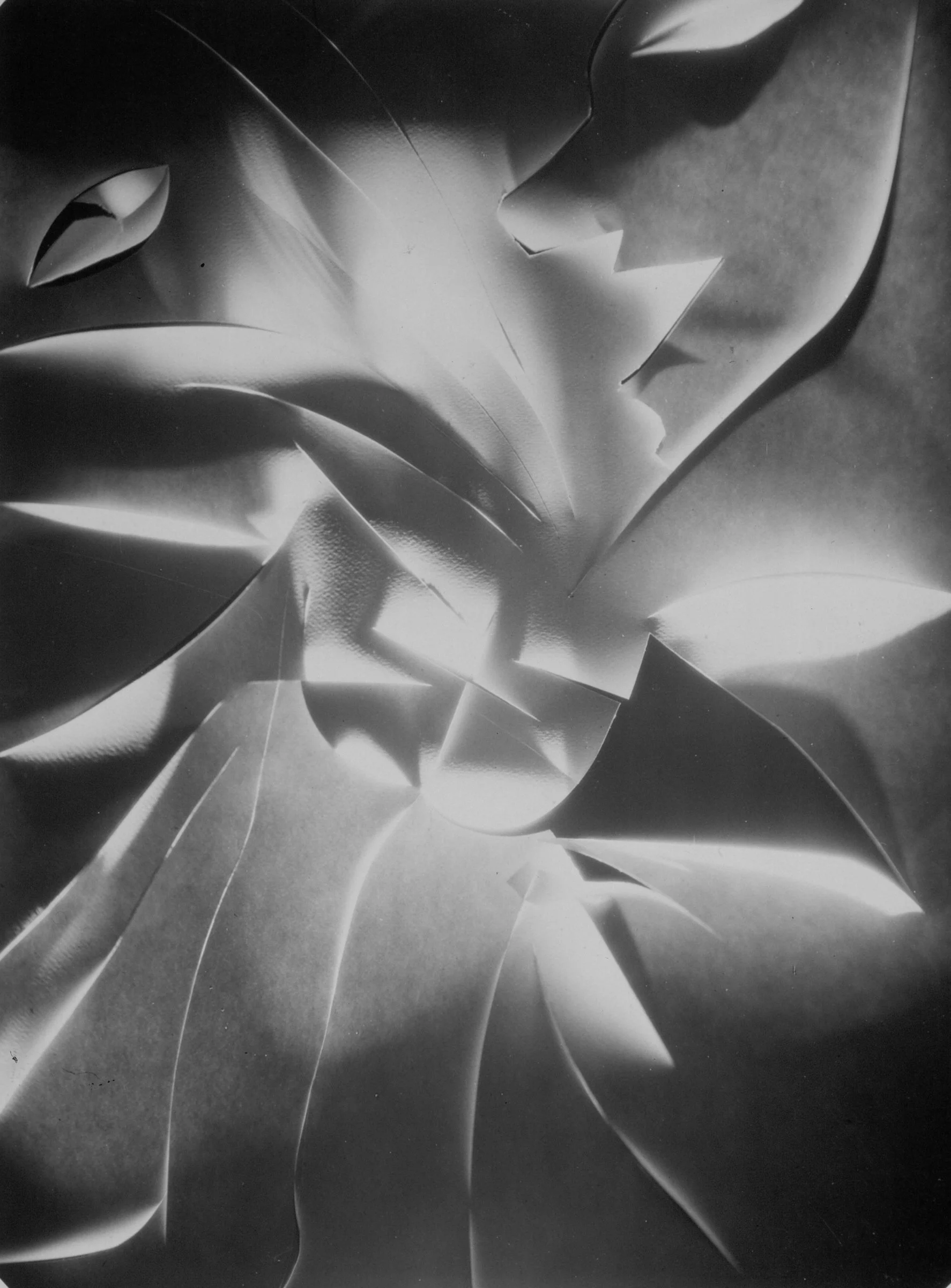 Photography's New Vision: Experiments in Seeing | High Museum of
